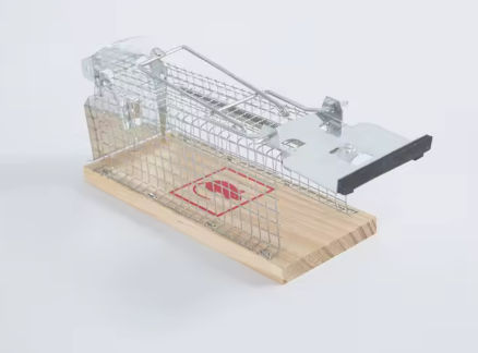 Humane Live Mouse Trap Cage 2 Pack