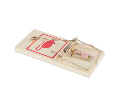 Traditional Wooden Mouse Traps 5 Pack