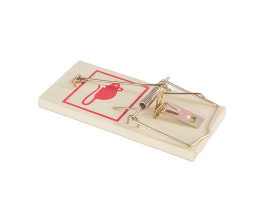 Traditional Wooden Mouse Traps 5 Pack