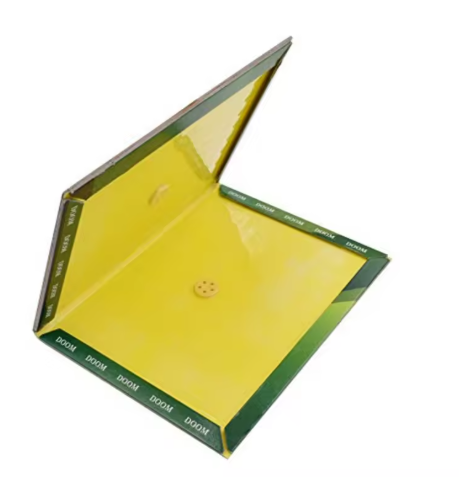 Rat Glue Trap NI