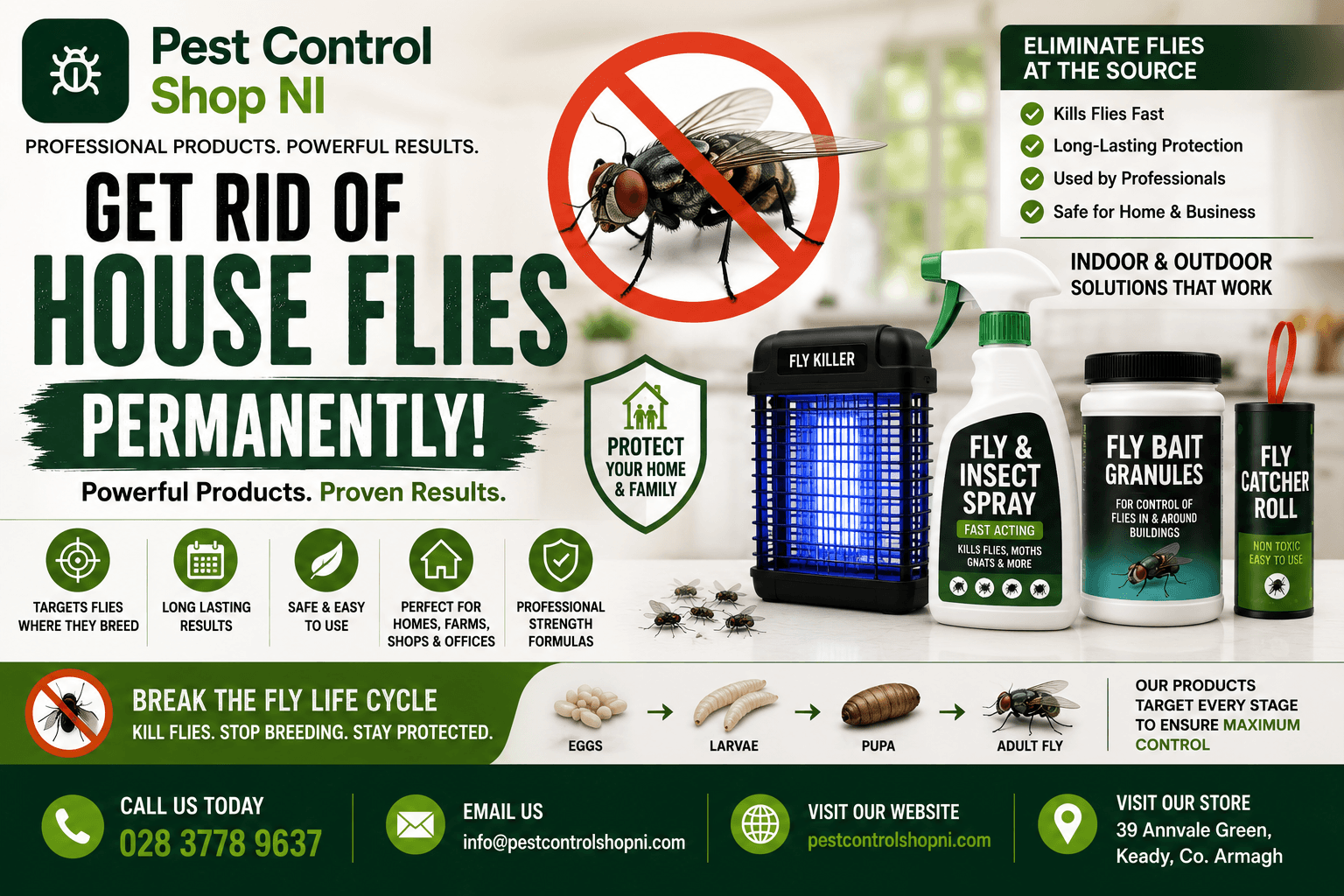 House Flies Permanently