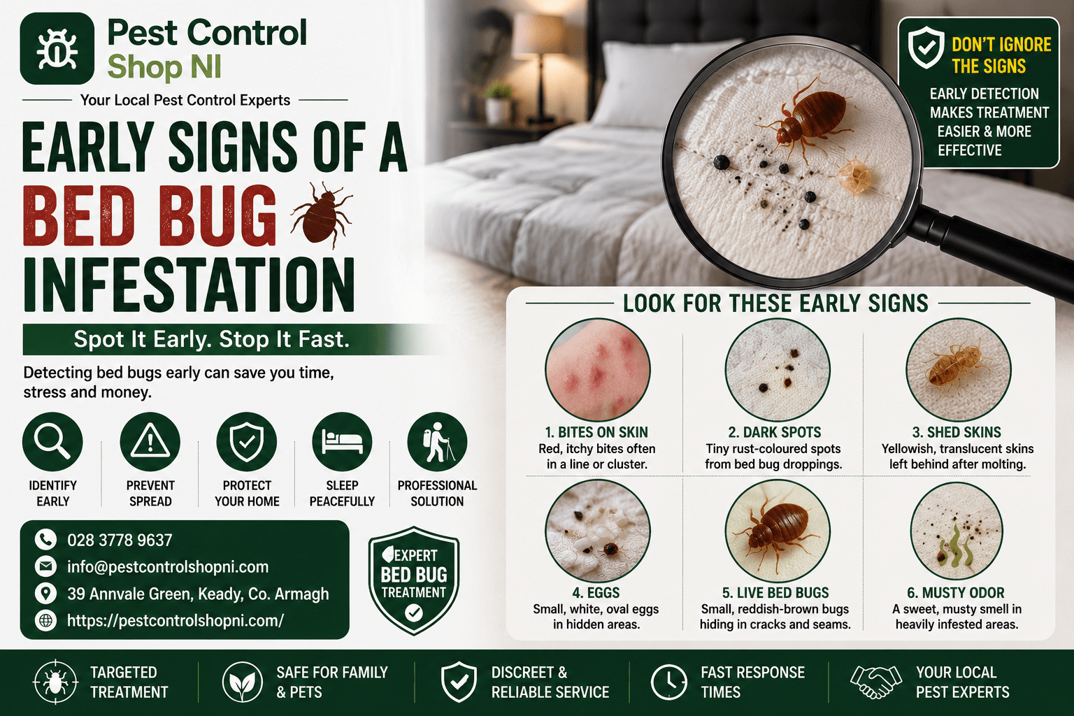 Early Signs of a Bed Bug Infestation