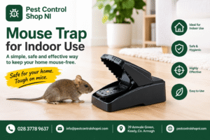 Mouse Trap for Indoor Use