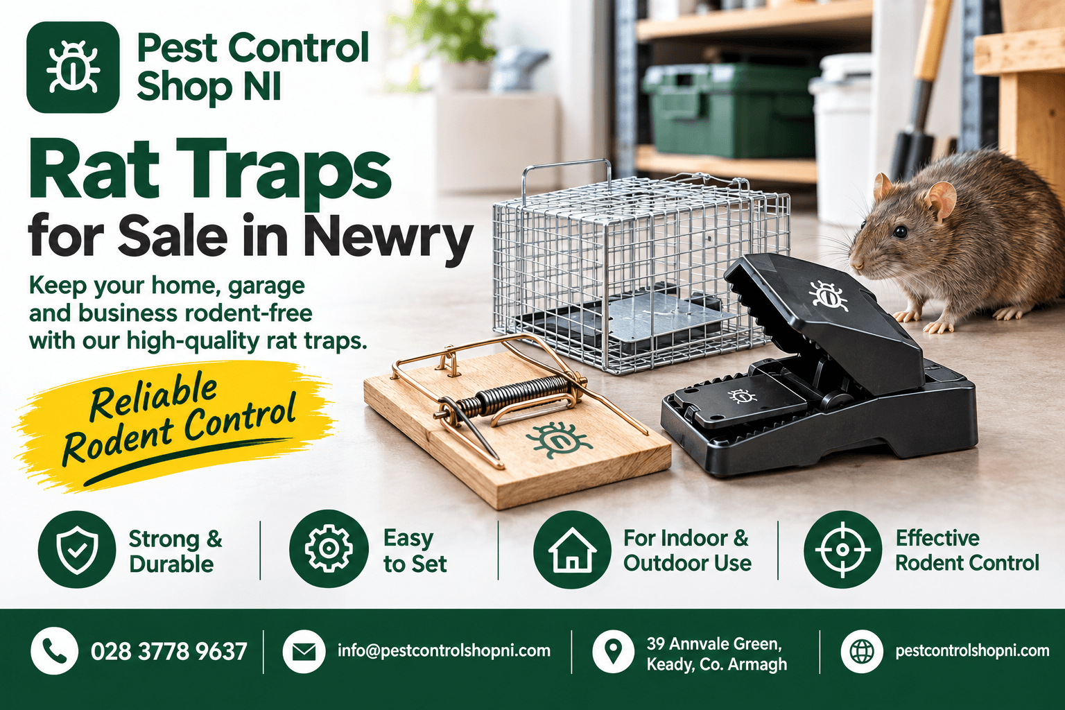 Rat Traps for Sale in Newry