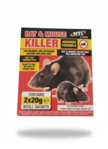 Signs of a Mouse or Rat Infestation and How to Deal with It